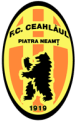 FC Ceahlaul Piatra Neamt